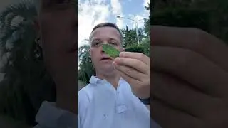 Грузия 🇬🇪- это  место, куда приезжают снова и снова. Каждый здесь находит что-то то своё: