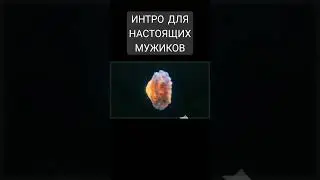 ИНТРО ДЛЯ НАСТОЯЩИХ МУЖИКОВ