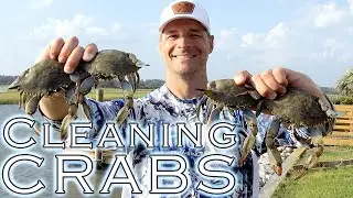 How to Clean a Blue Crab! Easy Way to Clean a Crab - Ready to Cook in Seconds! Easy to Eat! No Mess!
