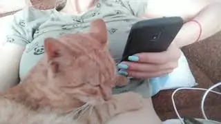 Этот кот спит с открытой дверью и ему ваще пох