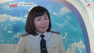 Сезон активности клещей