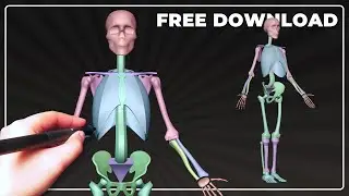 Modeling a Simplified Human Skeleton | Blender 3D