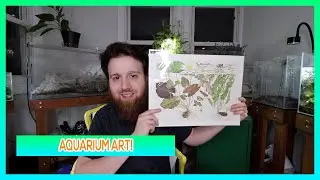 TROPICA AQUARIUM PLANT ART!