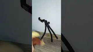 Михайлыч в Париже 