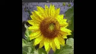 Pointillism in Processing