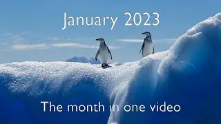 90 minutes of epic relaxation music - January 2023 - Mind Drifter - Reupload
