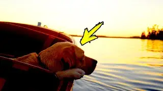 He put a noose around the old dog's neck and said 