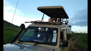 Our safari Land cruiser =oranje safari
