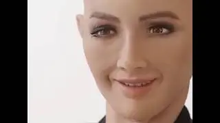 Every Robot is a Sex Robot if You're Ambitious