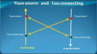 LUO-CONNECTING POINTS 3: Yuan Luo (Guest-Host) Point Combinations in Clinical Practice