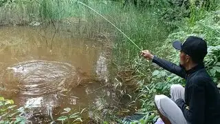 PEMANCING MANA YANG TIDAK TERGIUR JIKA MENEMUKAN RAWA YANG DI HUNI BANYAK IKAN