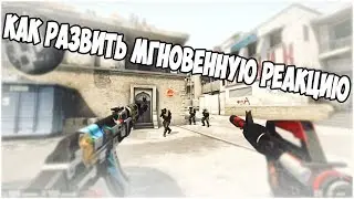 Как натренировать реакцию как у PRO игрока?