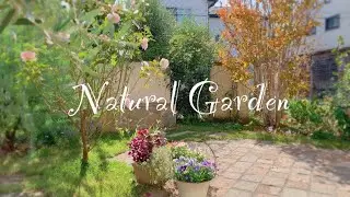 SUB《ナチュラルな庭づくりのための5つのポイント》ガーデニング＊ナチュラルガーデン《T's Garden》