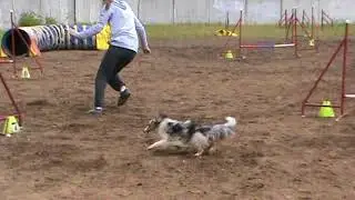 соль