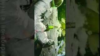 |патамушта понабирают всяких долбаёбов|