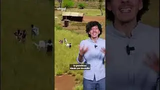 Buche contro la siccità