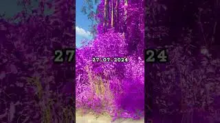 #саранча #тикток #ютуб #шортс#шортс
