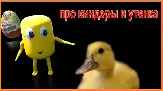 Живая капсула мультик для детей. НОВЫЕ СЕРИИ - утята в бассейне!