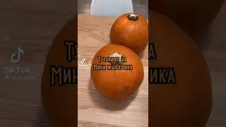 тцтор на мини жирафа🦒🫙///♡biser._xsq♡///🦒🫙 тутор с тик тока автор на видео