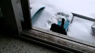 Nadrah and Black Dog in the Snow