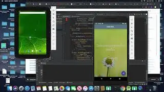 FLUTTER WIDGET OF THE WEEK(ThemeData widget)