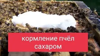 Кормление Пчёл Сахаром,  Кормушка для Пчёл, Проволока для Рамок Пчёлам. В.Г. Кашковский