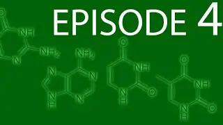 Episode 4 - Nucleic Acids