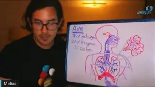 Día 293 - IMMUNE-RESPIRATORY- Matias De Stefano - edición en español
