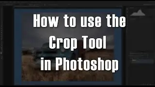 How to use the Crop Tool in Photoshop