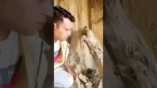 পরিত্যক্ত বাড়ি সৌদি আরবে Planned houses in Arabia