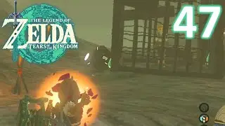 [47] Don't Worry Princess, I'm A Professional! (Legend Of Zelda: Tears of The Kingdom Gameplay)