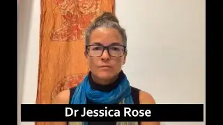 Dr Jessica Rose CHAPTER 9 audio - Interpreting Vaccine Adverse Events Reporting System Data (VAERS)