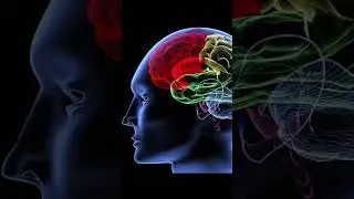 Я пересмотрела тысячи туториал как сделать плоский шов на оверлоке и я не понимать 