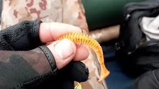 Бешеный клев судака,на сьедобную резину.
