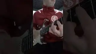 #gavião #tchechaleira #vaneira #viniciusmodelski #guitarra