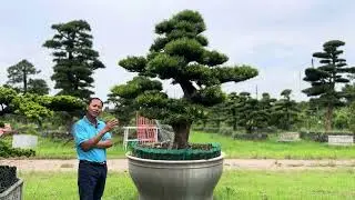 Đây là  Cách báo Hiếu Cha mẹ khi về già