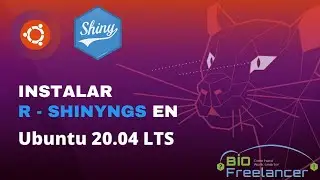 4. Instalación de shinyngs en ubuntu 20.04 (Julio 2024)