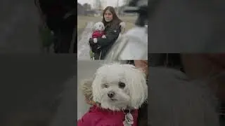 BOKEH MACHINE with the SIGMA 85mm F/1.4 Art Lens | LUMIX S5 Mark II 