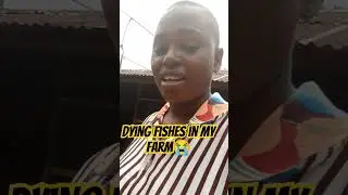 Farm Vlog... Documenting and Sharing my Entry into Farming as a Remote Worker. #farmlife #catfish