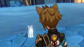 Gorou hates cats