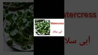 Learn Vegetable Names in English #youtubeshorts #vegetables #englishlanguage #vocab
