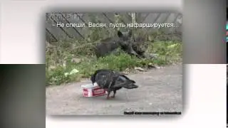 Интересные моменты из жизни.