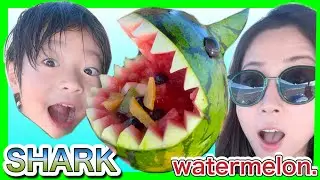 SHARK🦈⁉️DINOSAUR🦕⁉️簡単フルーツポンチサイダーを作ってみようCooking fruit punch wartermelon！！