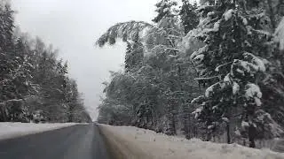 Дорога Александров - Кольчугино. 30.12.23