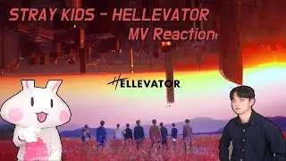 SUB)STRAY KIDS(스트레이키즈) - HELLEVATOR/KOREAN REACTION(한국인 리액션)