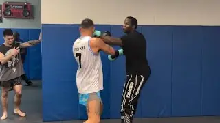 Alex Pereira Perplexed By 6 Foot 7 Taekwondo Master