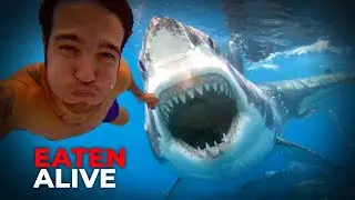 Friends Watch in Terror as Great White Shark Devours Diver!