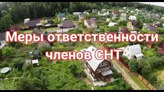 Меры ответственности членов СНТ🏡217-ФЗ