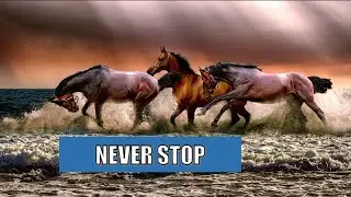 Never Stops your life race like horses-short clip #motivationalstatus  #horseriding  #horses