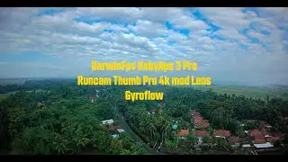 Darwin BabyApe 3 Pro || Runcam Thumb Pro 4K Mod Lens || Gyroflow #drone #fpv